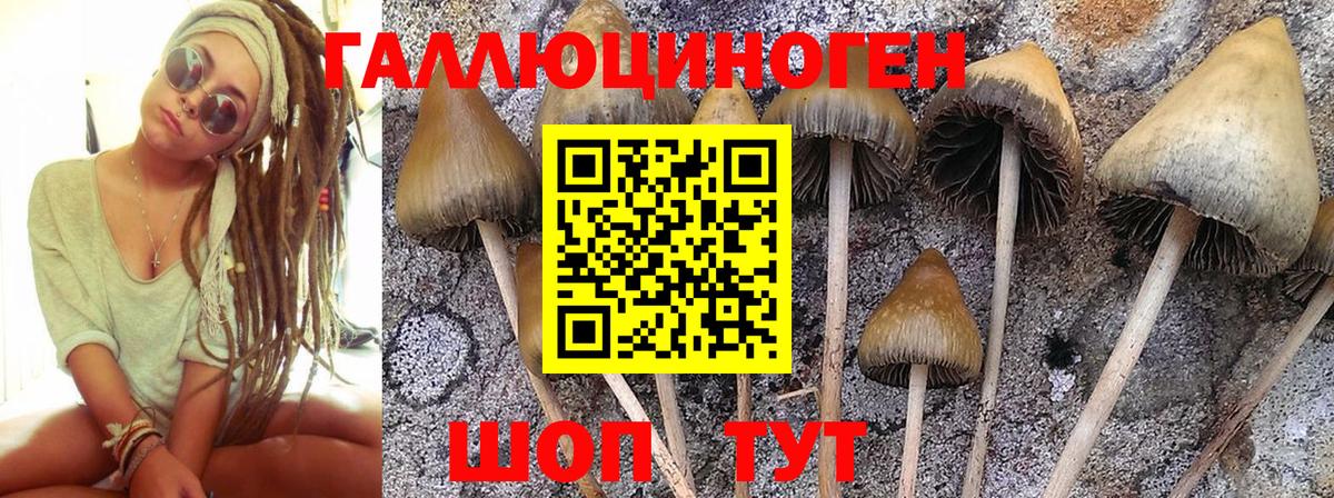 Меф МЯУ МЯУ кристаллы  Гашиш  Вход с VPN  Каннабис  Биробиджан  NBOMe  МАРИХУАНА  ГАШИШ  Кокаин 