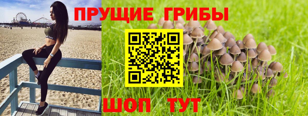 Биробиджан  Галлюциногенные грибы Magic Shrooms  Вход с VPN 