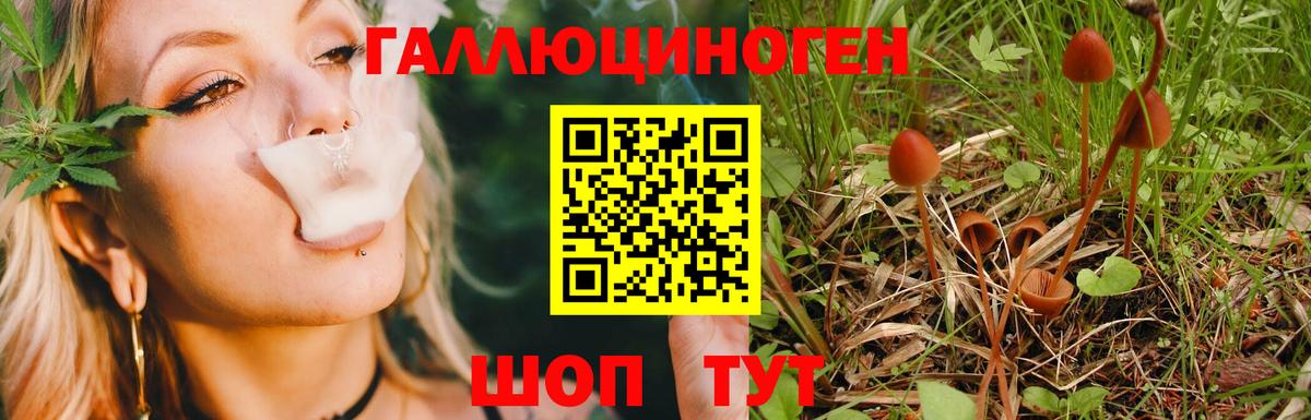 Галлюциногенные грибы Cubensis Биробиджан